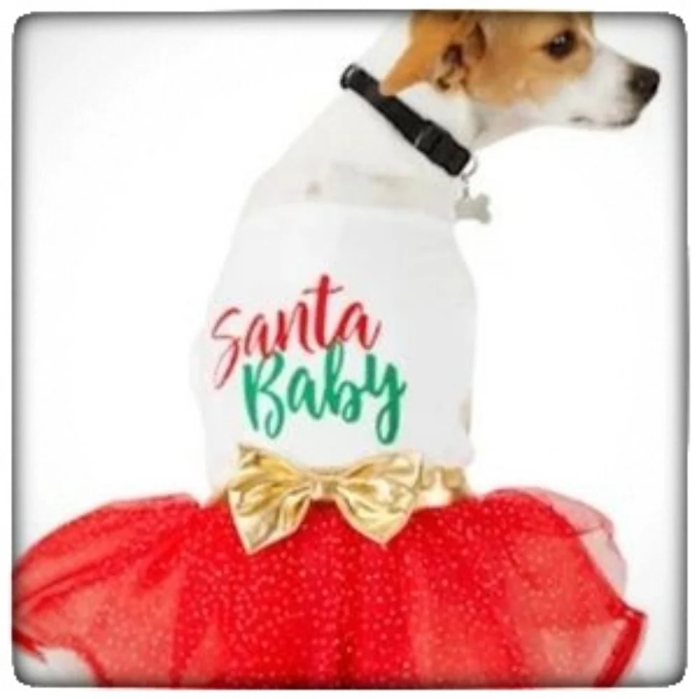HP 👏 More & Merrier Santa Baby Dog Dress-M
